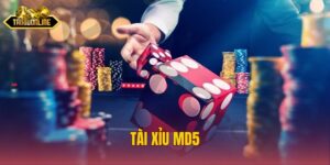 Khám Phá Chiến Thuật Thắng Lớn Với Tài Xỉu MD5 Hôm Nay